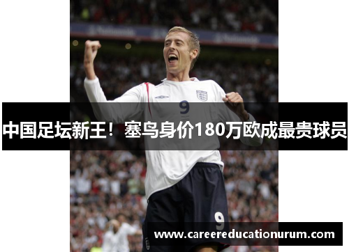 中国足坛新王！塞鸟身价180万欧成最贵球员